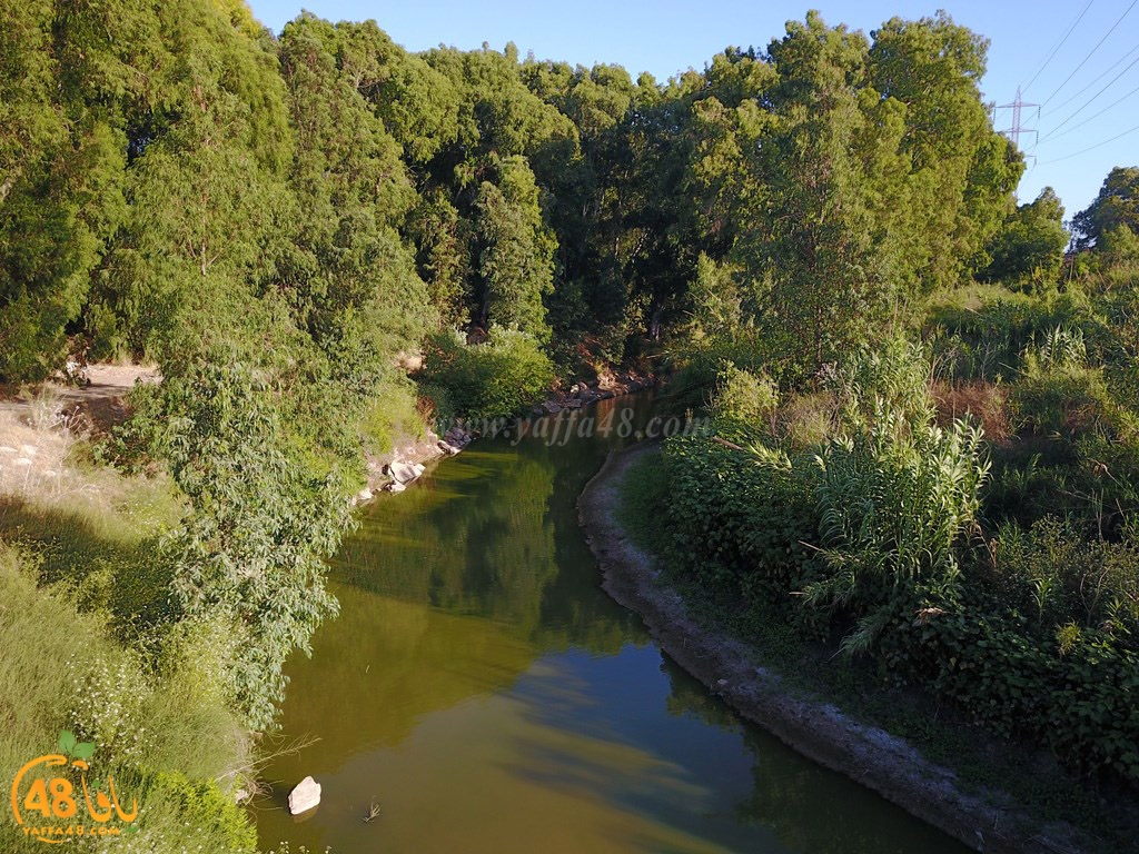 robin aradyej (47).jpg.jpg.jpg